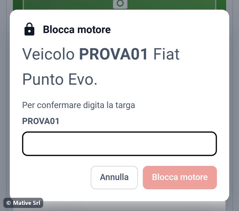 Engine lock confirmation window with the plate field